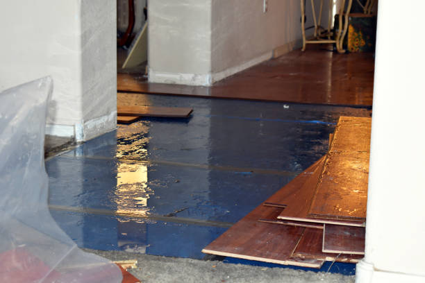 Professional Emergency Water Damage Restoration technician working in New Ulm, TX